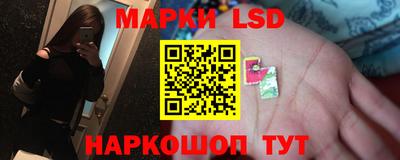 прущие грибы Чебаркуль