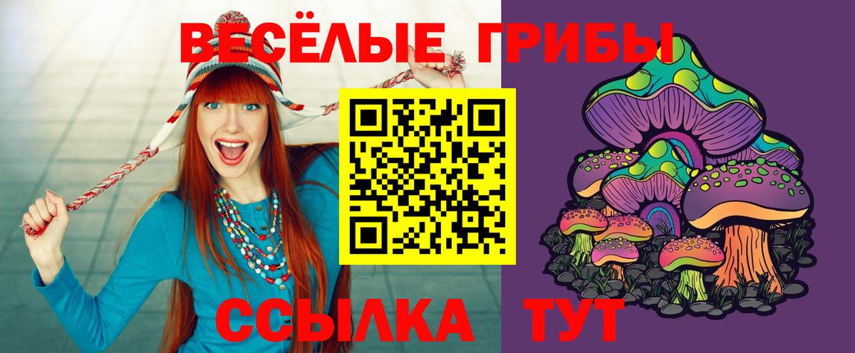 наркошоп  Галлюциногенные грибы MAGIC MUSHROOMS  Вход с VPN  Галлюциногенные грибы GOLDEN TEACHER  Нижнеудинск 