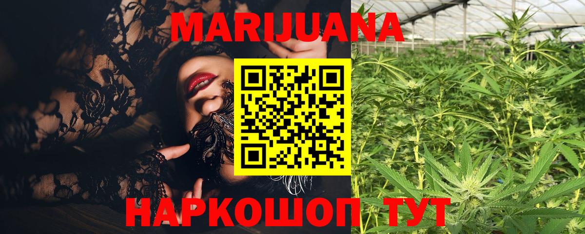 Каннабис сатива Нижнеудинск
